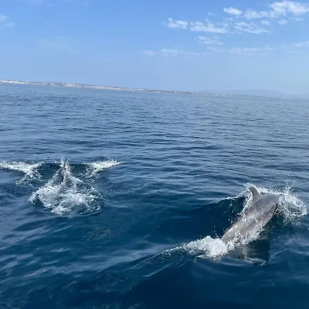 Διαμέρισμα At Meia *