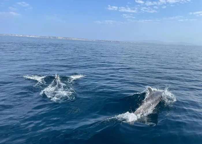 Διαμέρισμα At Meia *